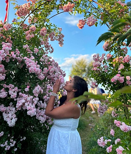 Simi ann Solaas